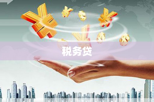 昌吉税务贷
