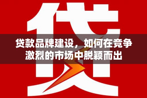 仑背贷款品牌建设，如何在竞争激烈的市场中脱颖而出