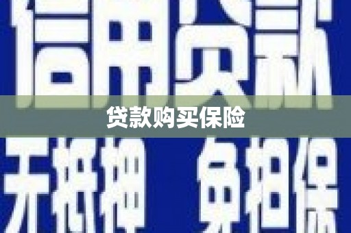 望谟贷款购买保险