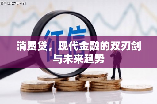 龙湾消费贷，现代金融的双刃剑与未来趋势