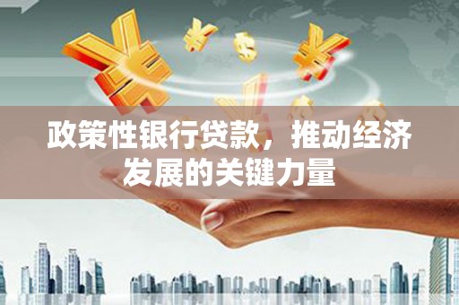 滨州政策性银行贷款，推动经济发展的关键力量