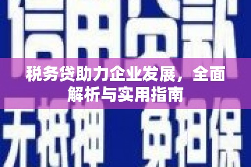 于洪税务贷助力企业发展，全面解析与实用指南