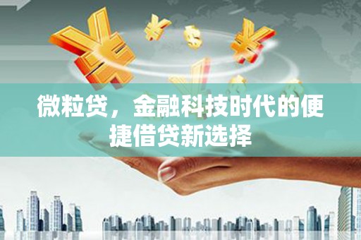 丰润微粒贷，金融科技时代的便捷借贷新选择
