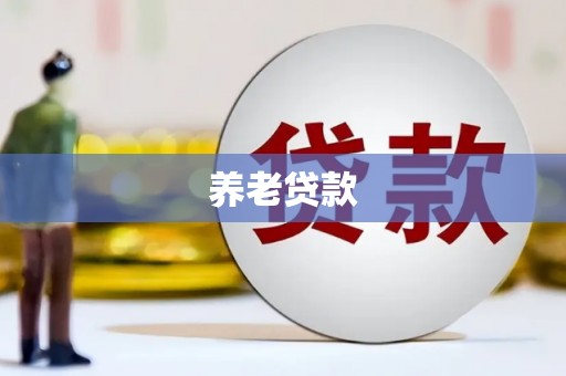 黟县养老贷款