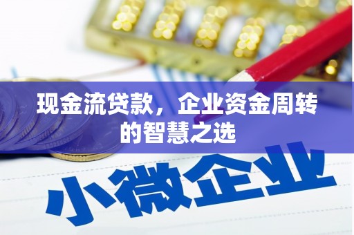 丹寨现金流贷款，企业资金周转的智慧之选