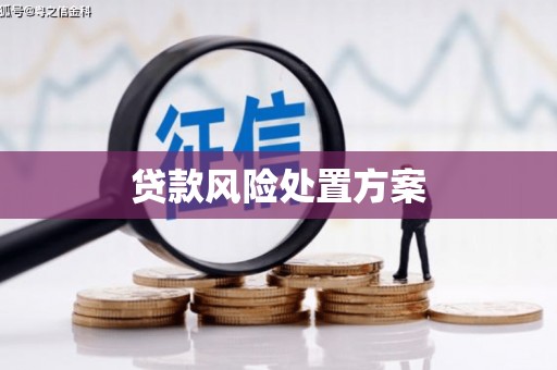 高安贷款风险处置方案