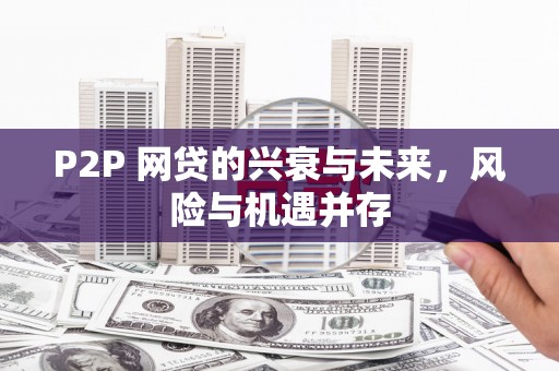 崁顶P2P 网贷的兴衰与未来，风险与机遇并存