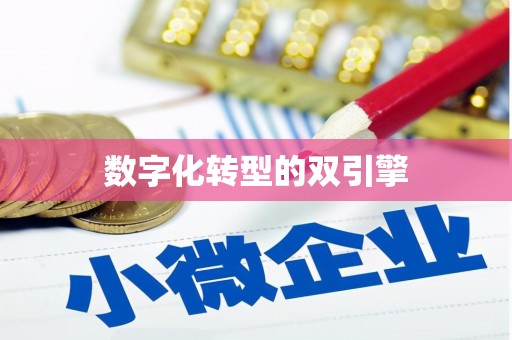 天桥数字化转型的双引擎