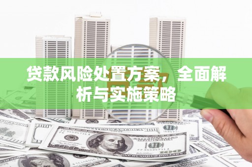 寻甸贷款风险处置方案，全面解析与实施策略