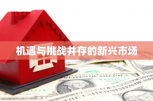 安定机遇与挑战并存的新兴市场
