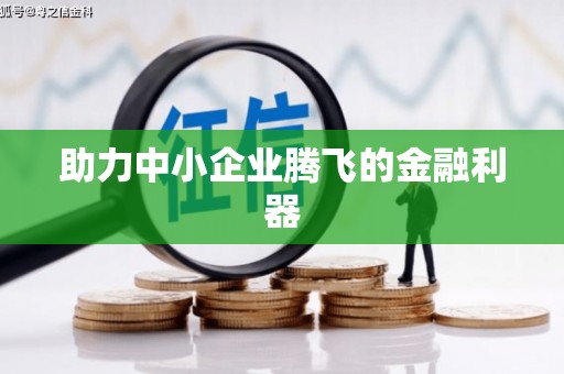 滨海助力中小企业腾飞的金融利器