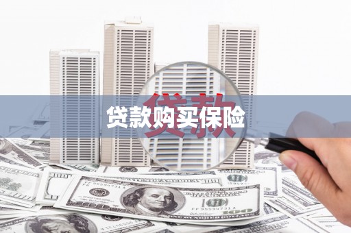 西丰贷款购买保险