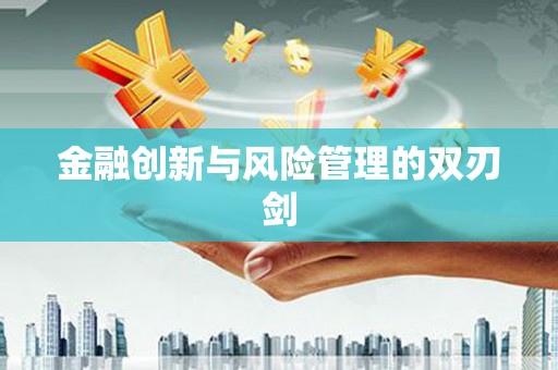 新邱金融创新与风险管理的双刃剑