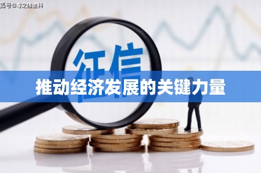 白山推动经济发展的关键力量