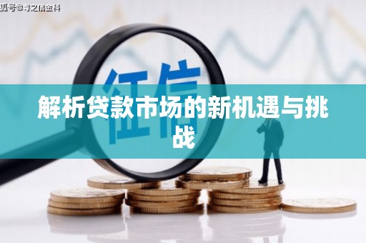 安定解析贷款市场的新机遇与挑战