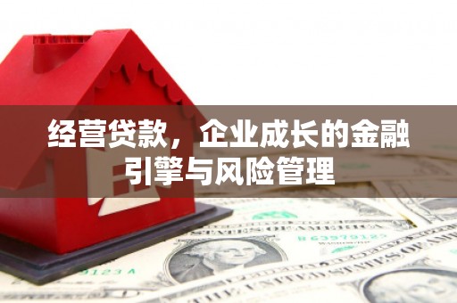 稻城经营贷款，企业成长的金融引擎与风险管理