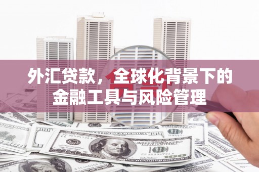 万州外汇贷款，全球化背景下的金融工具与风险管理