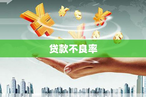 西华贷款不良率
