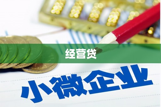肇东经营贷