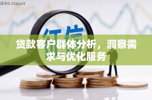 泸西贷款客户群体分析，洞察需求与优化服务
